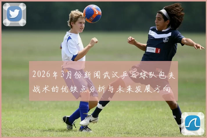 2026年3月份新闻武汉乒乓球队包夹战术的优缺点分析与未来发展方向探讨